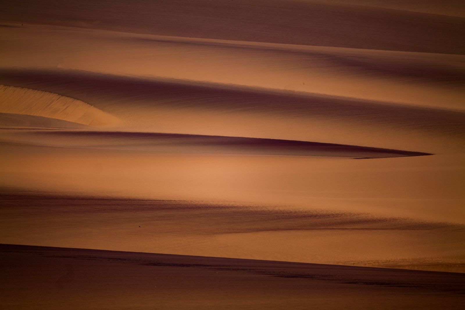 dunes