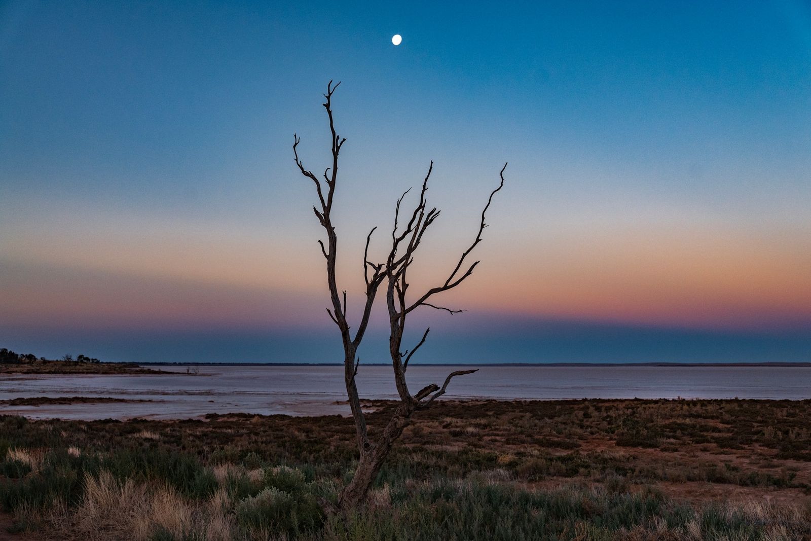 moonrise