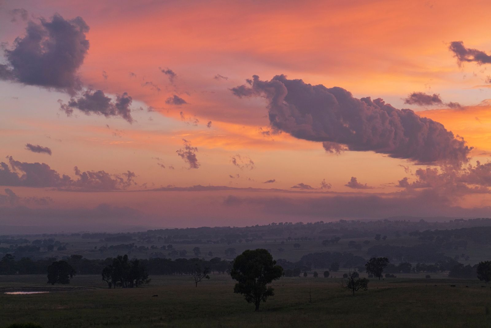 mudgee sunset