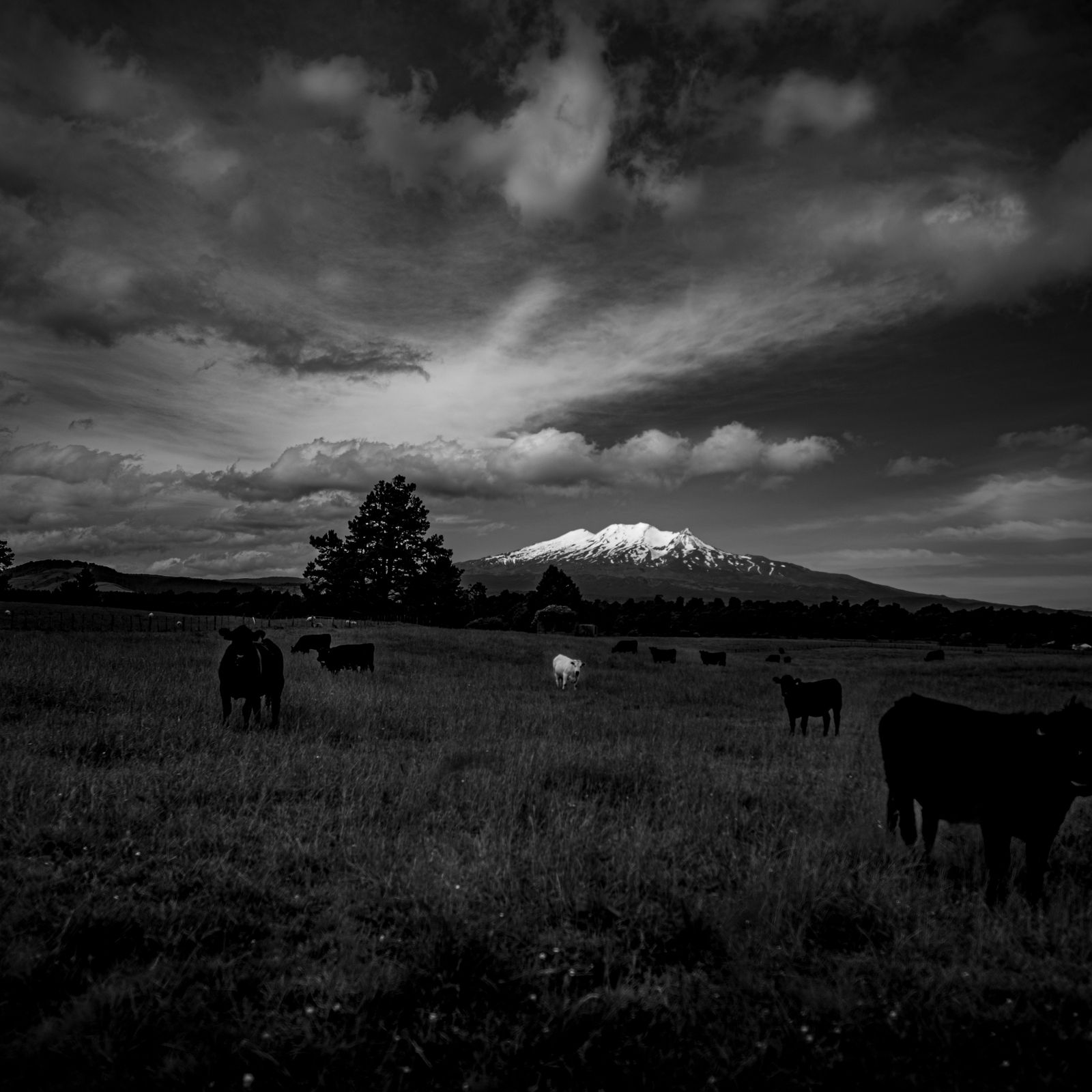 ohakune